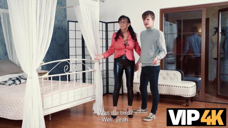 VIP4K. Contempt and Cock in Court