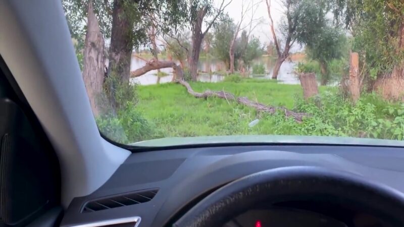 - Fuck Me Please! Step mom Gave Herself To Her Stepson Right In The Car After A Quarrel With Her Husband. 10 Min